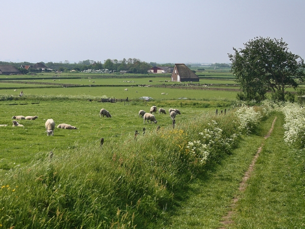 April auf Watteninsel Texel
